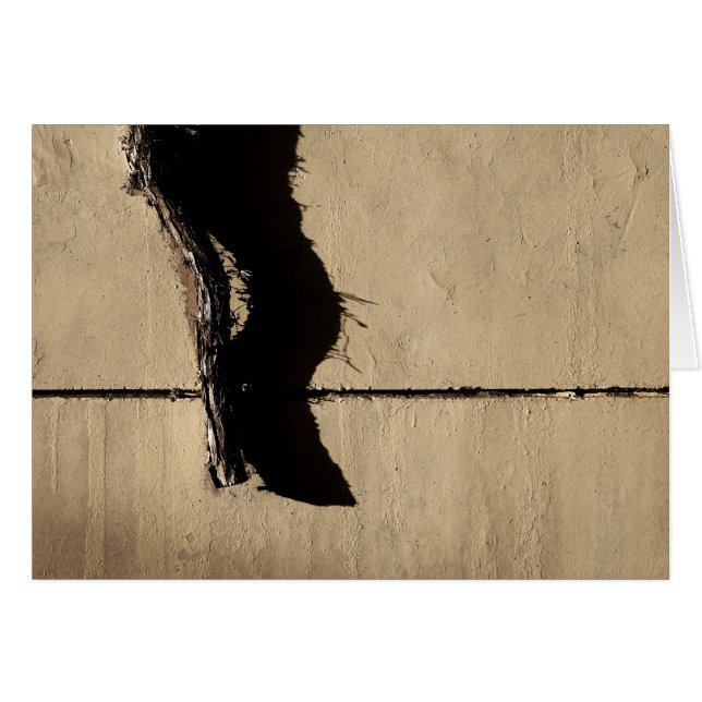 Ivy Vine and Shadow (Front Horizontal)