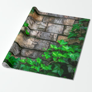 Ivy vine leaf plant broadleaf wrapping paper