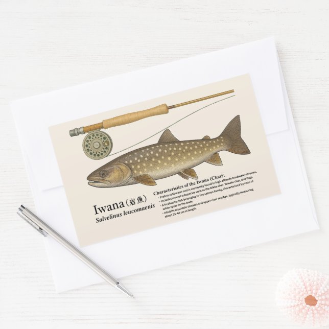 Iwana (Salvelinus leucomaenis) – English Illust Sticker (Envelope)