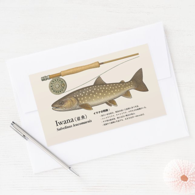 Iwana (Salvelinus leucomaenis) – Japanese Illust Sticker (Envelope)