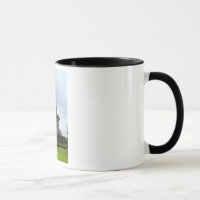 Iwo Jima Mug