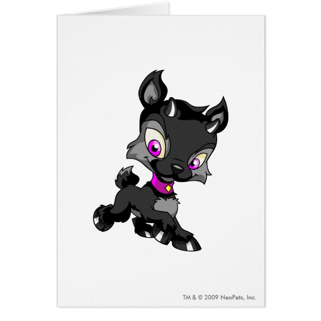 Ixi Shadow (Front)