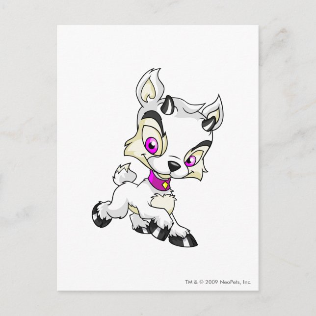 Ixi White Postcard (Front)