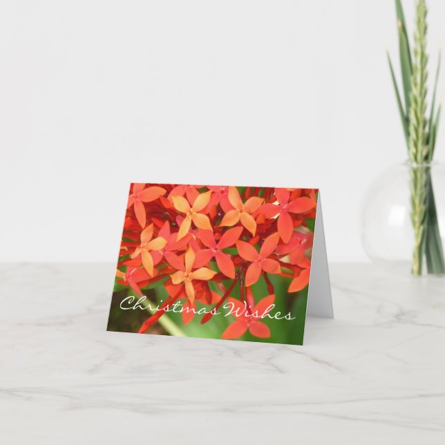 Ixora fleurit carte pour notes de Noël (Devant)