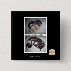 iz hadz mr. snuggies forebber 2 inch square button