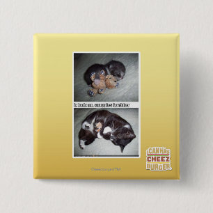 iz hadz mr. snuggies forebber 2 inch square button