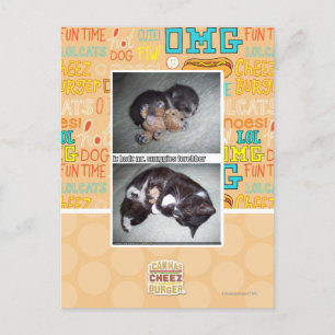 iz hadz mr. snuggies forebber postcard