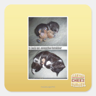 iz hadz mr. snuggies forebber square sticker