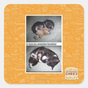 iz hadz mr. snuggies forebber square sticker
