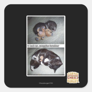 iz hadz mr. snuggies forebber square sticker