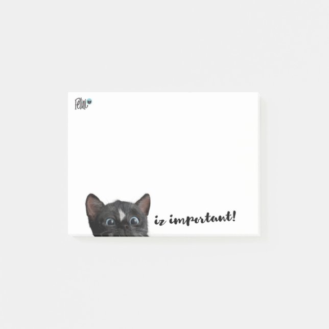 iz important! Post Its by Felini Post-it Notes (Front)