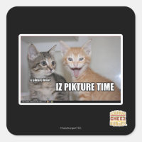 iz pikture time