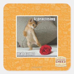 Iz practising mah tango square sticker