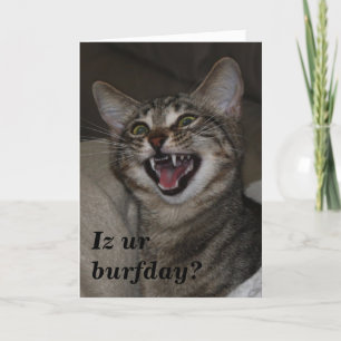 Iz ur burfday? humorous photo birthday card