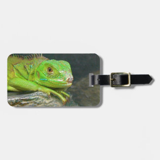Izzy Iguanna Luggage Tag