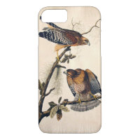 J.. Audubon (Red Shouldered Hawk) (1829)