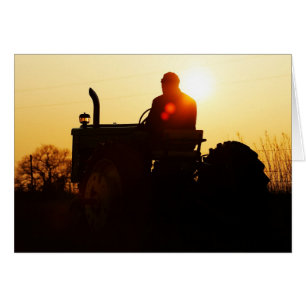 J in the Sunset