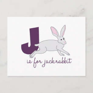 J Is For Jackrabbit Postcard