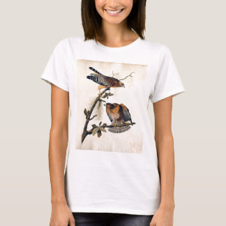 J.J. Audubon (Red Shouldered Hawk) (1829) T-Shirt
