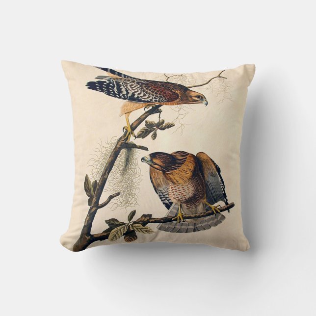 J.J. Audubon (Red Shouldered Hawk) (1829) Throw Pillow (Front)