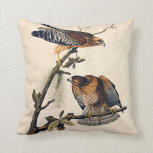 J.J. Audubon (Red Shouldered Hawk) (1829) Throw Pillow