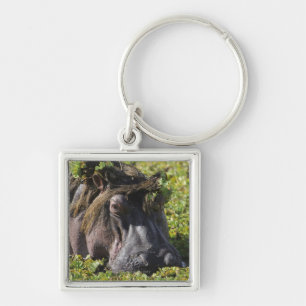 Jacana standing on hippo's (Hippopotamus Keychain