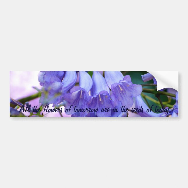 Jacaranda Blossoms Bumper Sticker (Front)