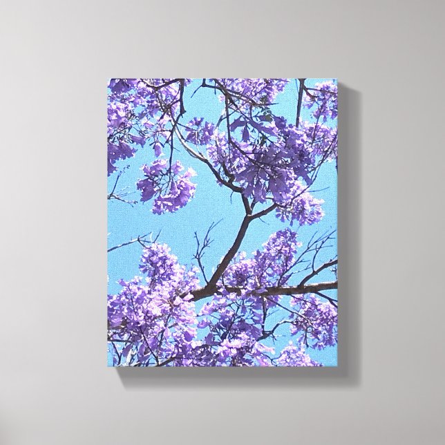 Jacaranda Blossoms Canvas Print (Front)