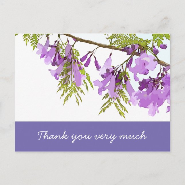 Jacaranda flowers in blooming flowers purple postcard (Front)