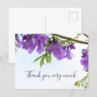 Jacaranda Purple Flowers Australia on the tree