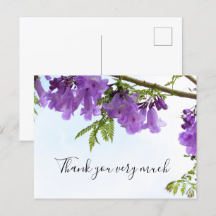 Jacaranda Purple Flowers  Australia on the tree    Postcard