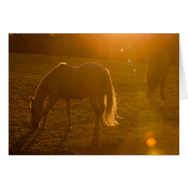 Jaci & Ava (Front Horizontal)