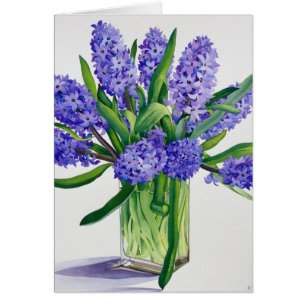 Jacinthes bleues