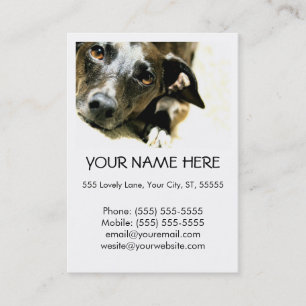 Jack Business Card