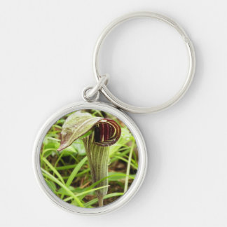 Jack in the Pulpit Keychain