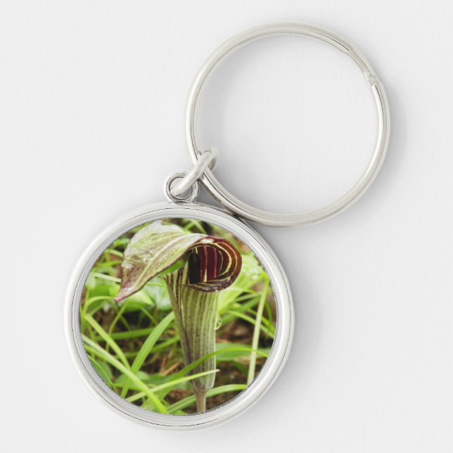 Jack in the Pulpit Keychain (Front)