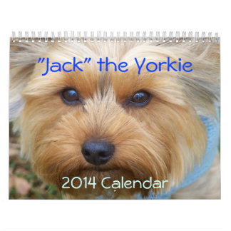 "Jack" le Yorkie - calendrier 2014