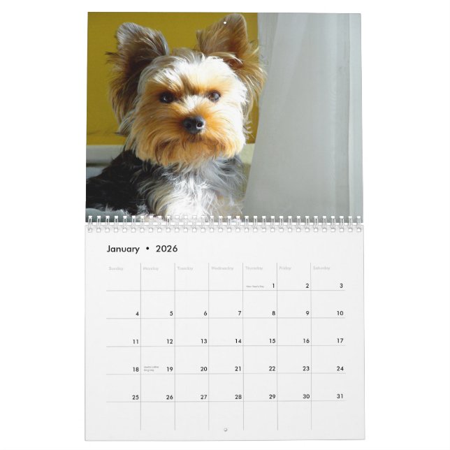 "Jack" le Yorkie - calendrier 2014 (Jan 2026)