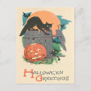 Jack O' Lantern Black Cat Bat Full Moon Postcard