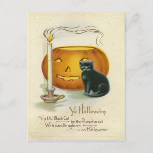 Jack O Lantern Black Cat Candle Postcard