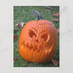 Jack O Lantern Postcard