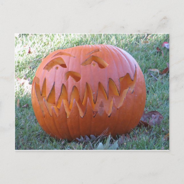 Jack O Lantern Postcard (Front)