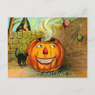 Jack O Lantern Pumpkin Black Cat spider Web Postcard