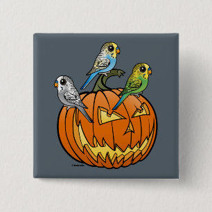 Jack O'Budgies 2 Inch Square Button