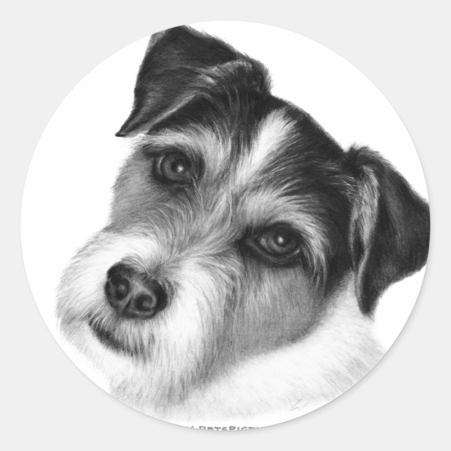 Jack (Parson) Russell Terrier Classic Round Sticker (Front)