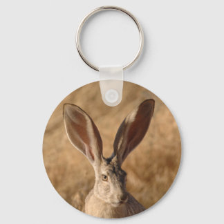 Jack rabbit with large ears colour photo keychain