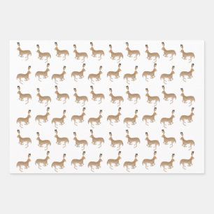 Jack Rabbits Envelopper des feuilles de papier