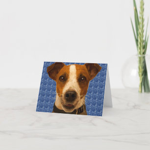 Jack Russel Cosby Card