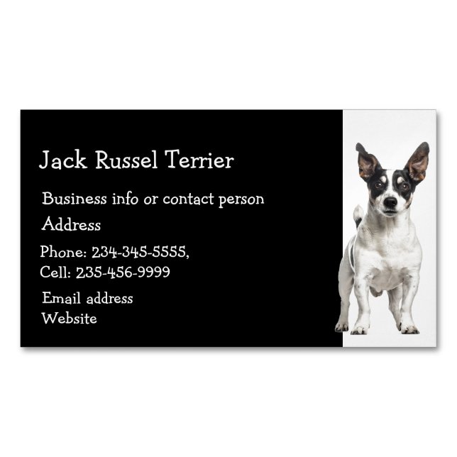 Jack Russel Terrier Dog Breeder Pet Sitter Busines Magnetic Business Card (Front)