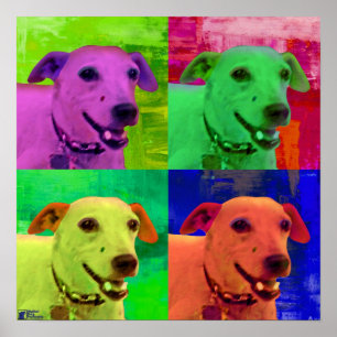 Jack Russel Terrier Pop Art Poster